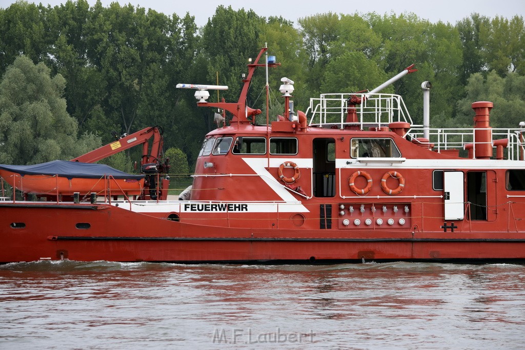 PRhein Koeln Porz Ensen Schwimmer untergegangen P096.JPG - Miklos Laubert